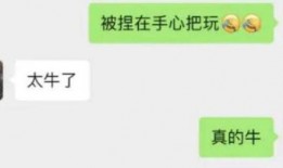 张老师最新爆料消息,最新爆料事件全解析